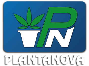 Plantanova