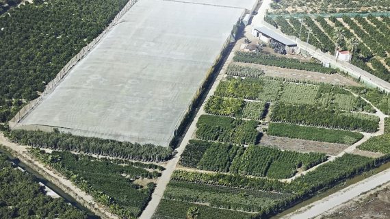 fincas vivero plantanova